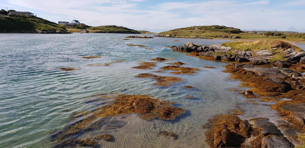 Tidal View Bed & Breakfast Kincasslagh Bagian luar foto