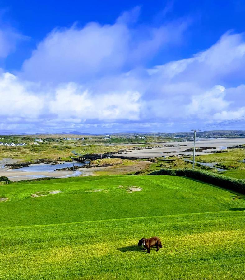 Tidal View Bed & Breakfast Kincasslagh Bagian luar foto
